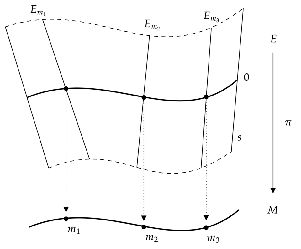 File:Vector bundle.png