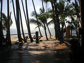 View from beach house, Newell, 2004