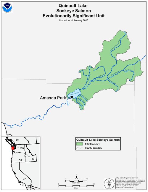 File:Web pdfs ql sockeye.pdf