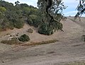 Thumbnail for version as of 00:13, 13 December 2020