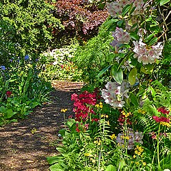 "The finest two acres of private garden" in Scotland