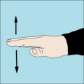 Take it easy, Relax or Slow down: Flat hand with palm down moved slowly up and down a few times.