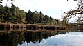 Thumbnail for version as of 16:42, 26 October 2017