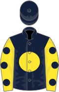 Dark Blue, Yellow disc, Yellow sleeves, Dark Blue spots