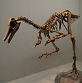 Patagonykus.jpg