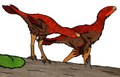 Protarchaeopteryx