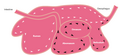 Thumbnail for version as of 04:04, 17 December 2021