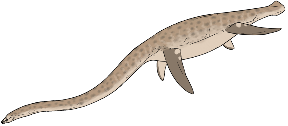 File:Wapuskanectes betsynichollsae.png