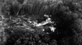 Thumbnail for version as of 03:58, 9 January 2026