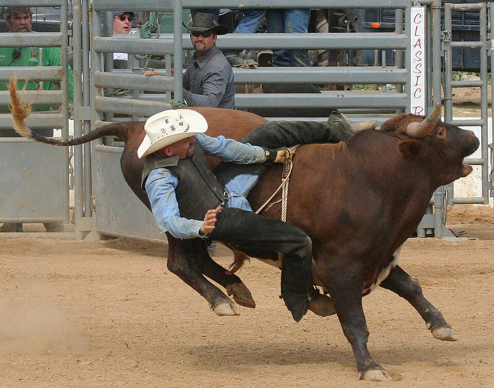 File:Don't let go.jpg