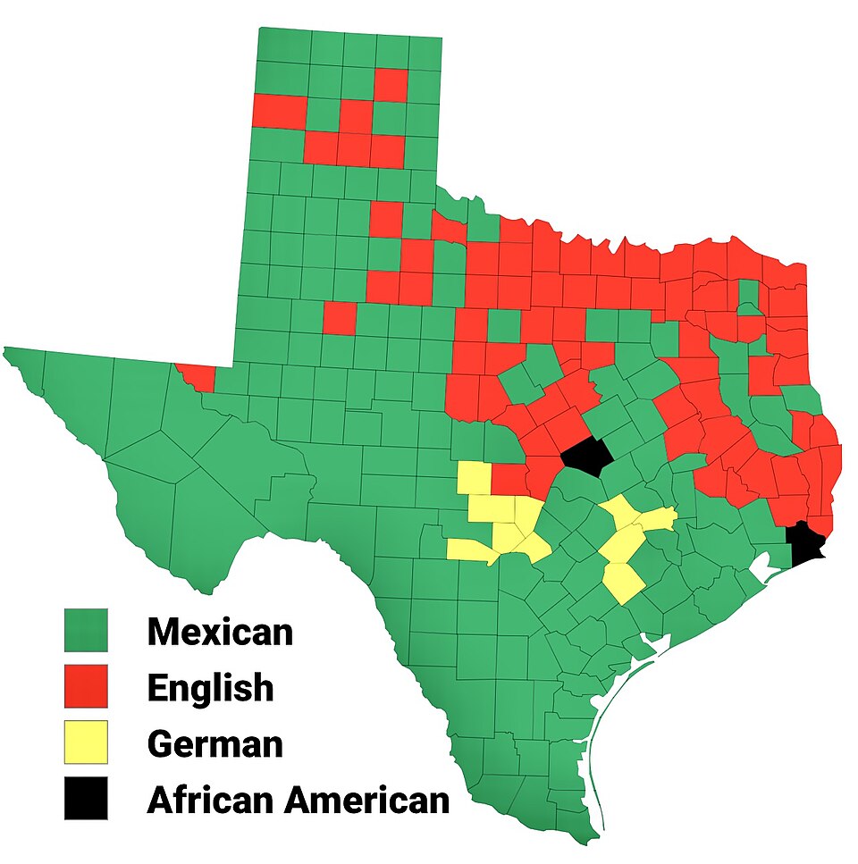 File:Ethnic origins in Texas (2020).jpg