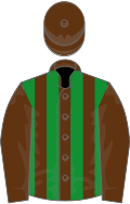 Brown and green stripes, brown sleeves and cap