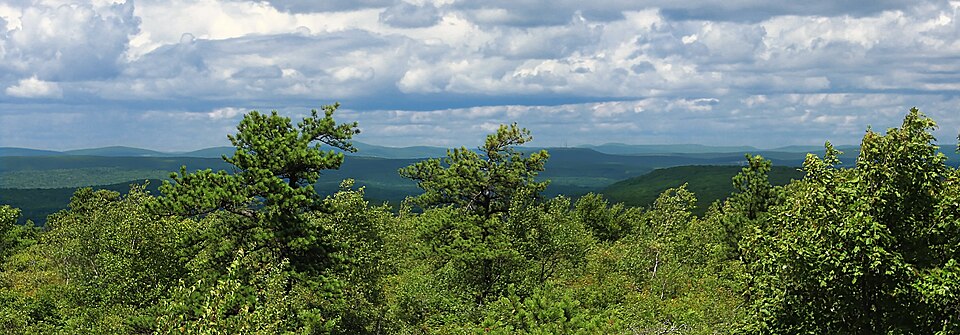 File:Pine Hill (Revisited) (3) (9449525666).jpg