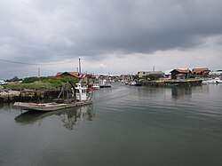 Oyster port