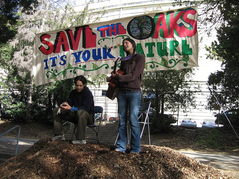 File:Save the Oaks-Guitar-And-Banner.jpg