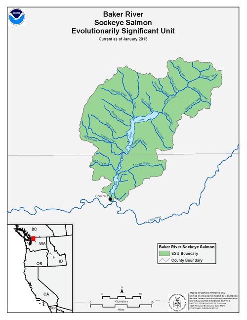 File:Web pdf br sockeye.pdf