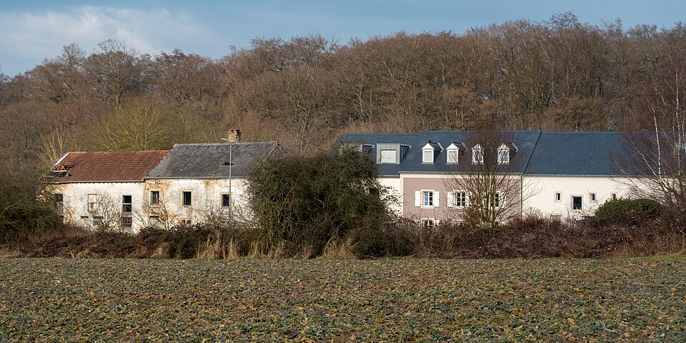 File:2-4, Kroentgeshof-101.jpg