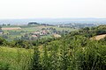 Bujačić - panorama
