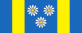 Flag of Velika Polana