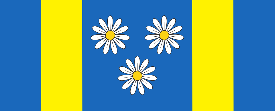 File:Flag of Velika Polana.svg