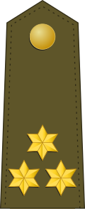 File:Spain-Army-OF-2.svg