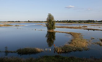 Near Slijk-Ewijk, the Waal during flood (summer 2021)