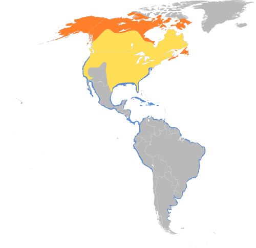 File:Charadrius semipalmatus map.svg