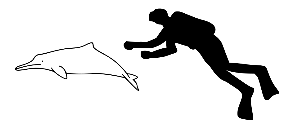File:La plata dolphin size.svg
