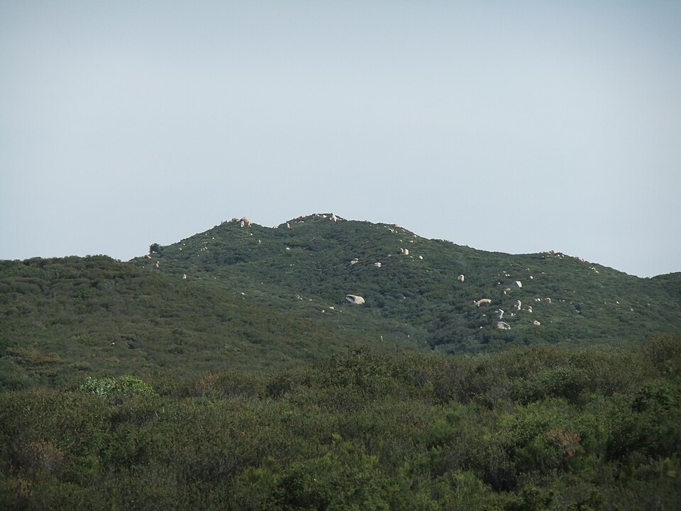 File:San Mateo Peak.JPG