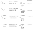 Thumbnail for version as of 00:19, 9 December 2010