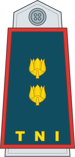 File:17-TNI Air Force-LTC.svg