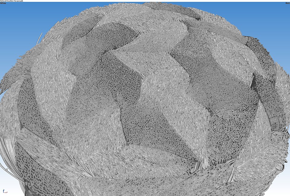 File:Micro-CT braided polymer rope 3D 08.jpg