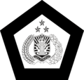 Indonesia(police aviation,low visibility)