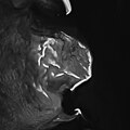Thumbnail for version as of 05:38, 11 February 2022