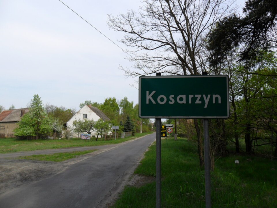 File:Kosarzyn1.JPG