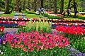 Le jardin de Keukenhof. Très visité, il est le plus grand parc floral au monde.