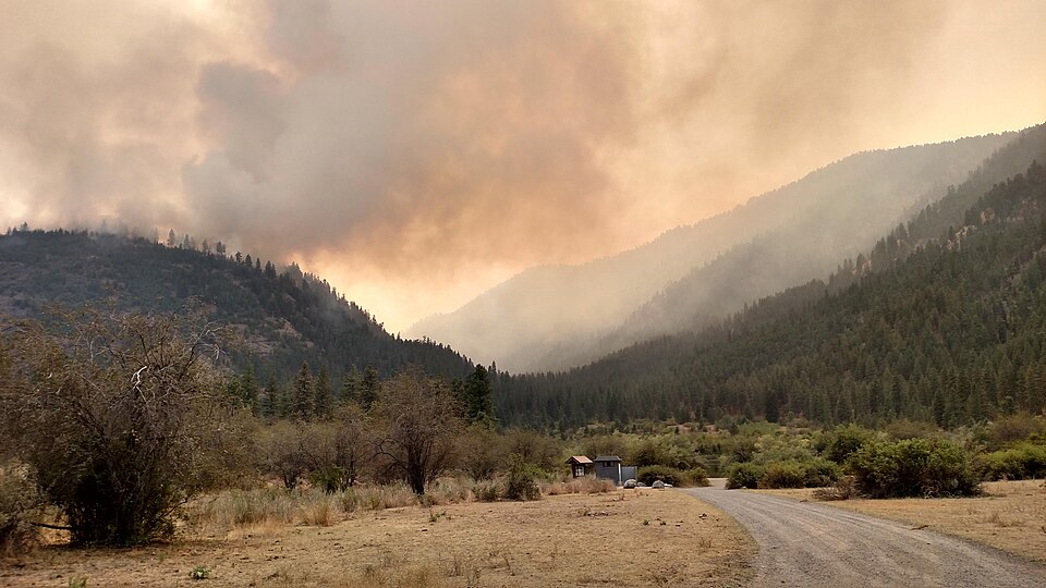 File:Okanogan Complex Fire - USFS.jpg
