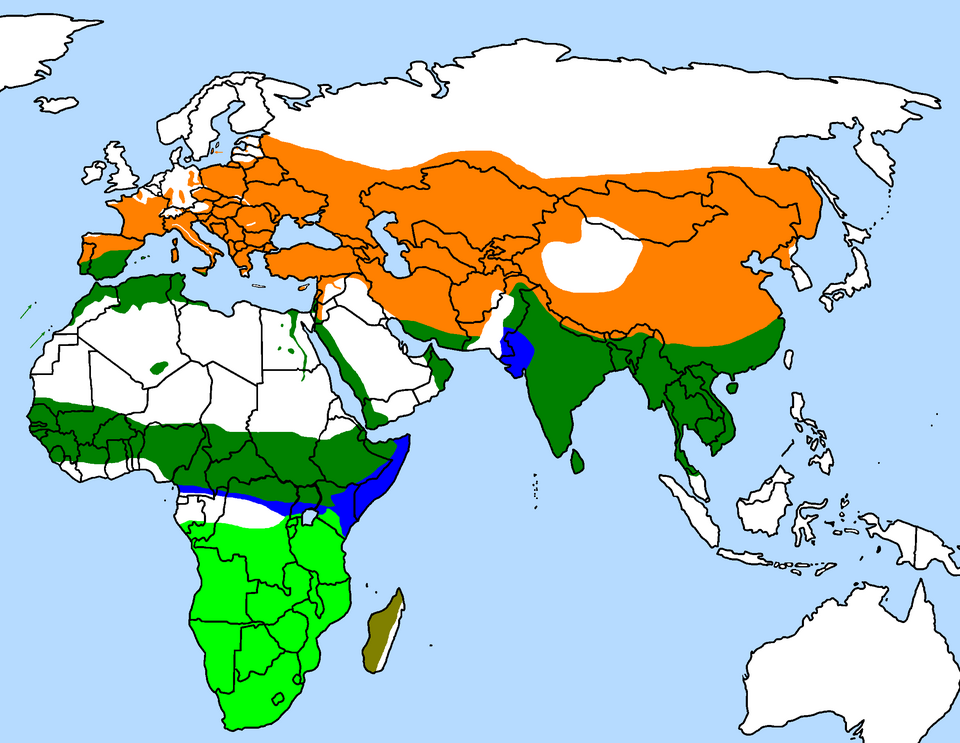 File:Upupa distribution.png