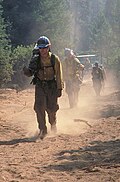 USFS
