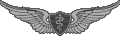 Flight Surgeon Badges