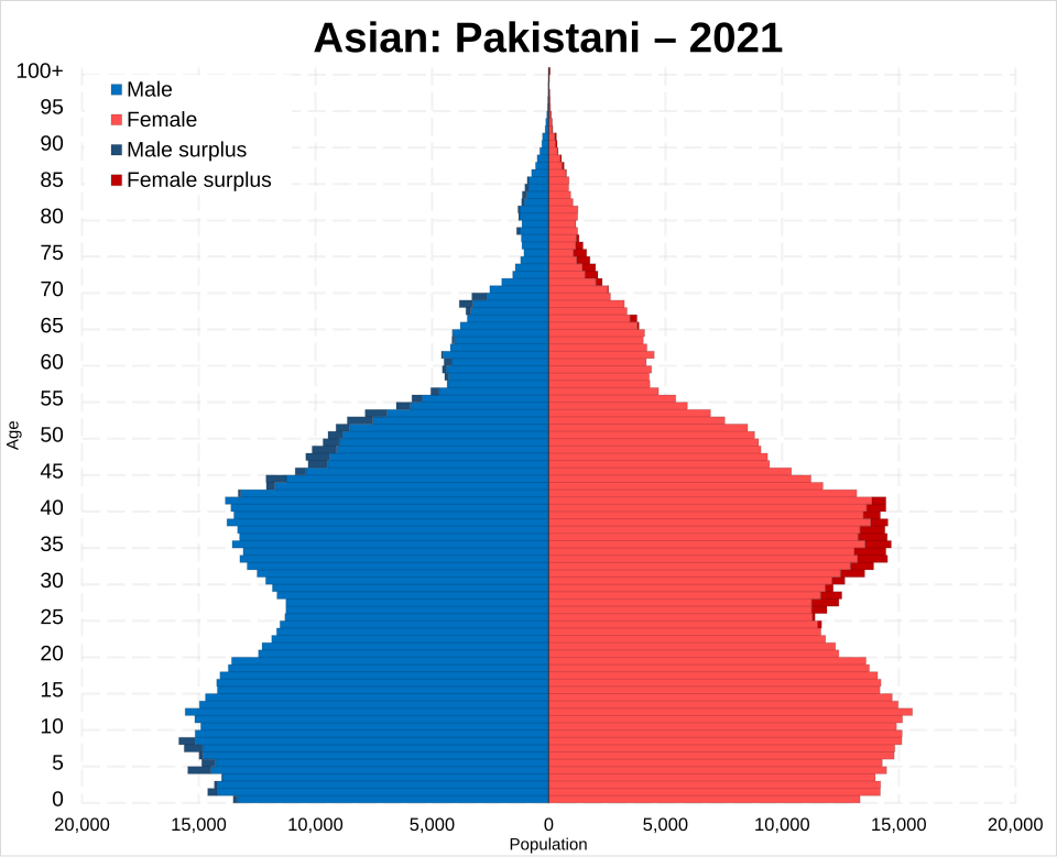 File:Asian Pakistani population pyramid 2021.svg