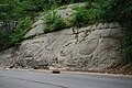 Mexican War engraving off of Howard Road