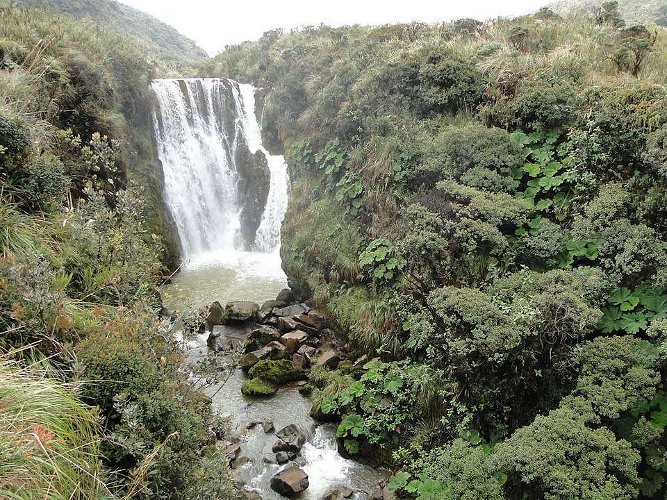 File:Putrace National Park (Columbia 1).jpg