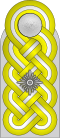 Shoulder board (Waffen-SS)