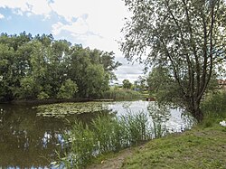 The Czyste Pond in Nowe Jeziorki in 2020.