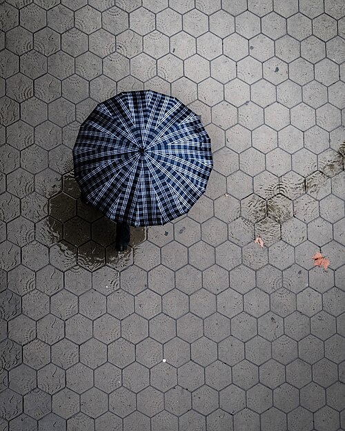 File:Above (Unsplash).jpg