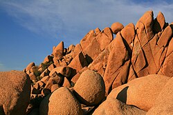 Joshua Tree National Park
