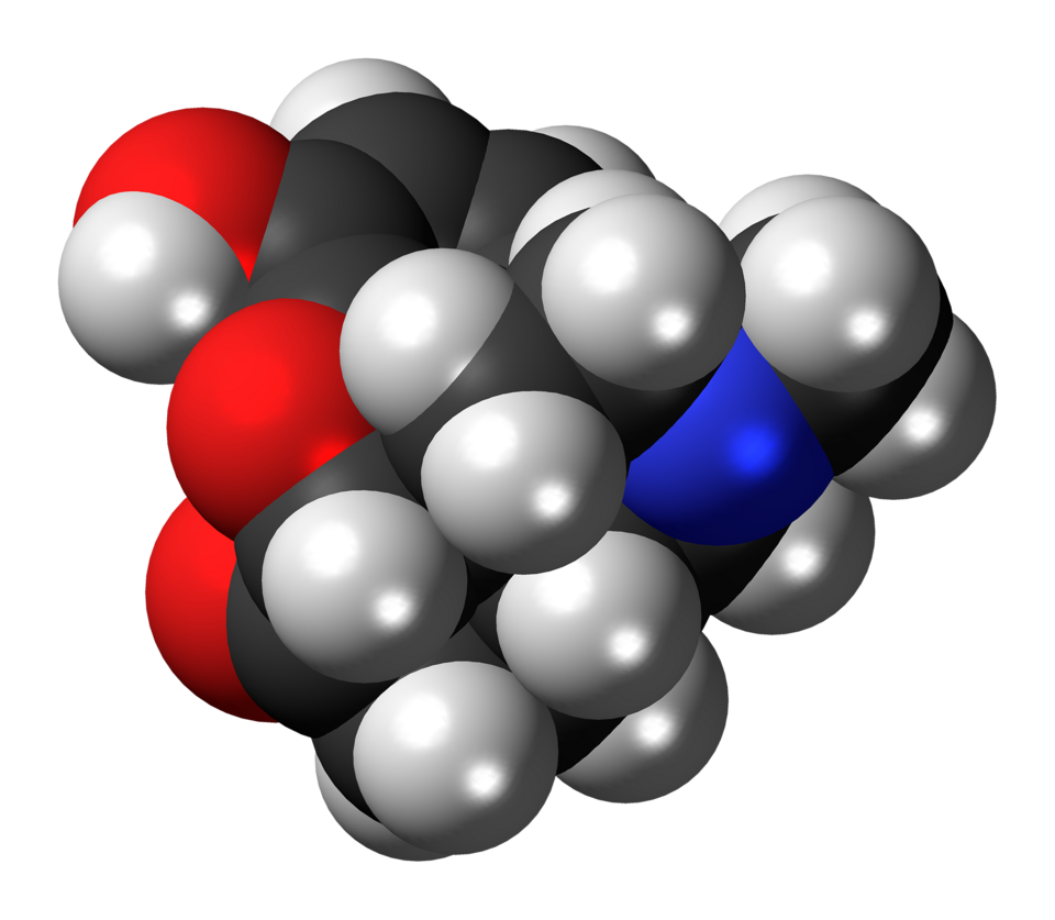 File:Hydromorphone molecule spacefill.png