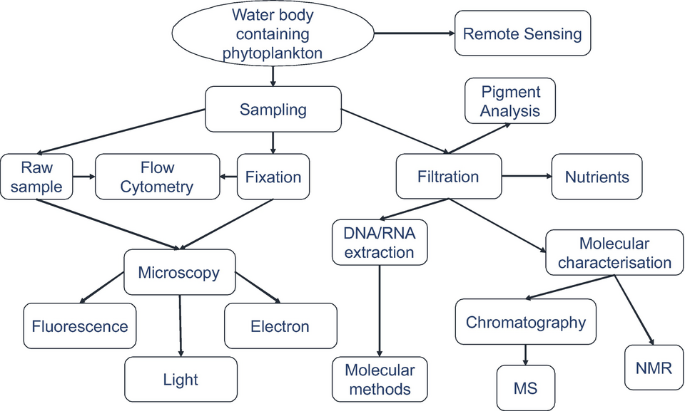 File:Methods used for phytoplankton studies.png