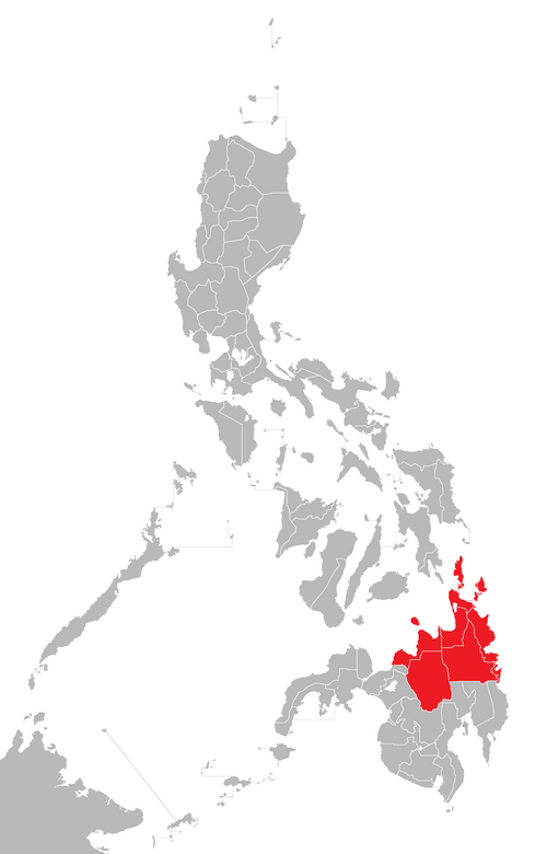 File:RC Archdiocese of Cagayan de Oro.png